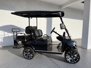 2022 Black Out Evolution Classic 4 Plus Golf Cart 036
